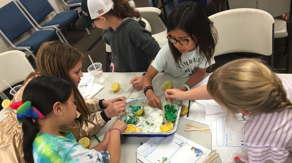 Mad Scientist Day Camp Mad Scientist Day Camp